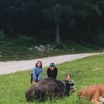 vincent - @vincent_witters - Instagram