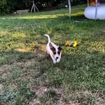 Vincent Witt - @vincentwitt40 - Instagram