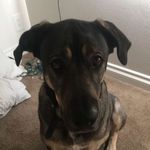 Vincent - @vincentwolfe - Instagram