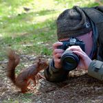 Vincent Paul Wray - @photographingwildlife - Instagram