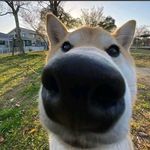 Vincent Yap - @vincent.yap.0205 - Instagram