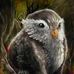 雲信 - Vincent Yau - Facebook
