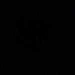 Vincent Yau - @vincent_0904 - Instagram