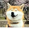 Vincent Yeh - @vincentyeh8 - TikTok