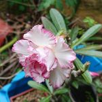 葉文哲 - @vincentyeh1212 - Instagram