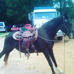 Vincente Vargas - @vargasvincente - Instagram