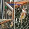 Vincenzo Pace - @vincenzo.pace82 - TikTok