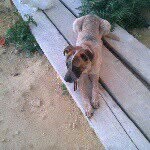 Vincenzo Sciacca - @vincenzo.sciacca - Instagram