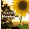 Vineet Dabas - @vineetdabas - TikTok