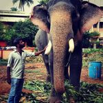 Vineeth Mohan - @vineeth_mohan - Instagram