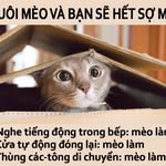 @vinhc_hi - Instagram