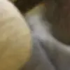 vinhchi - @vinhchi50 - TikTok