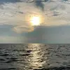 Vinh Khưu - @vinhkhuu1998 - TikTok