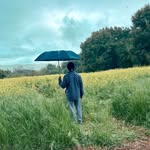 Vinh Quach - @vinh.quach.69 - Instagram