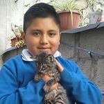 Vinicio Herrera - @herrera_vinicio - Instagram