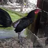 Vinicio Murillo - @vinicio.murillo - TikTok