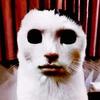 Vinicio Ochoa - @vinicio.ochoa45 - TikTok