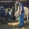 vinicio peralta - @vinicioperalta766 - TikTok