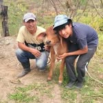 Vinicio Quevedo - @evinicioefrain - Instagram