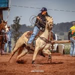 Vinicios Quevedo - @vinicios_quevedo - Instagram