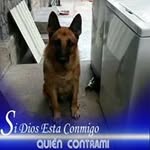 Vinicio Solis - @vinicio.solis.315 - Instagram