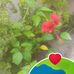 Vinita Arora - Facebook