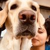 V Vinisha Joshi - @vvinishajoshi - TikTok
