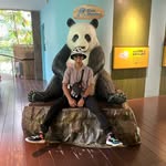 Vinit Mehta - @vinitmehta_ - Instagram