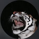 V I N I T S H E T T Y 🦍 - @vinitshettyy - Instagram
