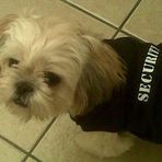 Vinnie Murphy - Facebook