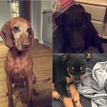 @vinnie_murphy_dez - Instagram