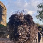 Vinny Murphy - @vinmurph - Instagram
