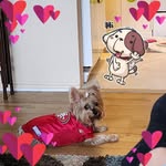 Vinnie Smith - @jerseys_little_baby_cakes - Instagram