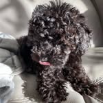 Vinnie Smith - @vinnie_.smith - Instagram