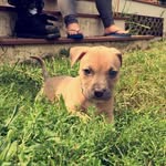 Vinny Greco - @vinny.greco.77 - Instagram