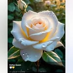Vinny Kumar - @vinn.ykumar1297 - Instagram
