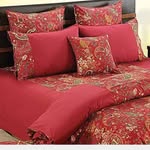 Vinod Dua - @indianbedsheet - Instagram