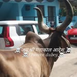 Vinod Dubey - @vinoddubey310 - Instagram