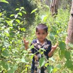 vinod George - @vinodgeorge70 - Instagram