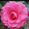 Vinod George - @vinod.george8 - TikTok