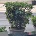 Vinod George - Facebook