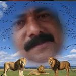 Vinod George - @vinod.george.3114 - Instagram