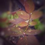 Vinod Samuel - @love_nature_37 - Instagram