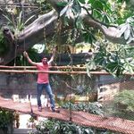 Vinod Samuel - @ajo_samuel - Instagram