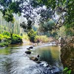 Vinodh Mohan - @vinodhmohans - Instagram