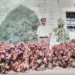 Vinodkumar Patil - @vinodkumar.patil.1238 - Instagram