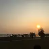 jiangvinson - @jiangvinson - TikTok