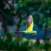 vinu krishnan - @vinu_krishnan_ - TikTok