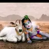 vinu vinu - @vinukrishnan - TikTok