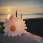 ♡ - @vinutha___kumar - Instagram